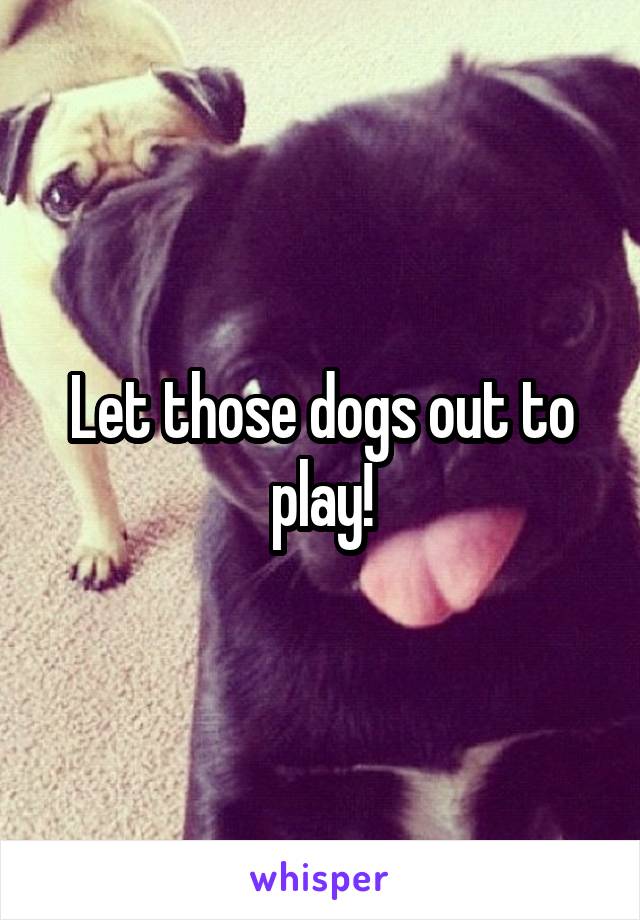 Let those dogs out to play!