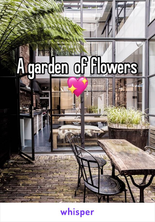 A garden  of flowers 💖