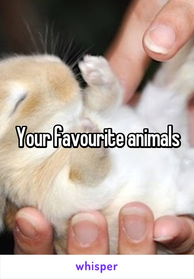 Your favourite animals