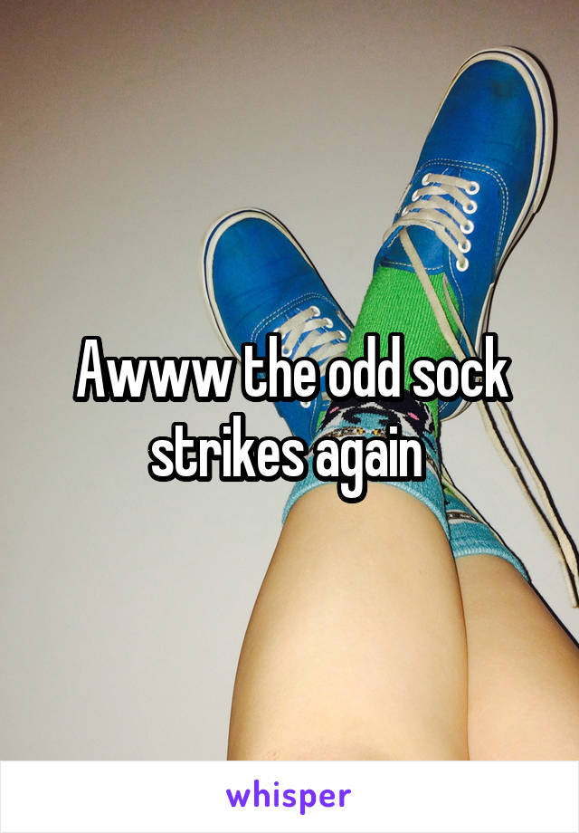 Awww the odd sock strikes again 