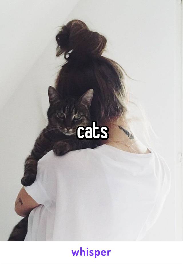 cats