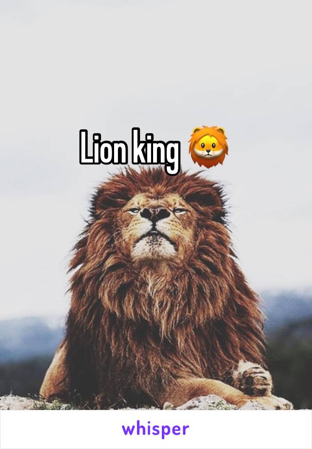 Lion king 🦁 