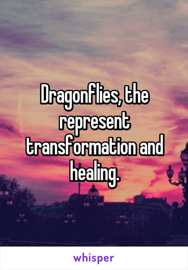 Dragonflies, the represent transformation and healing.