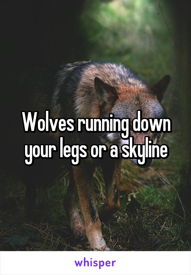 Wolves running down your legs or a skyline
