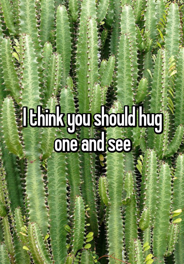 i-think-you-should-hug-one-and-see