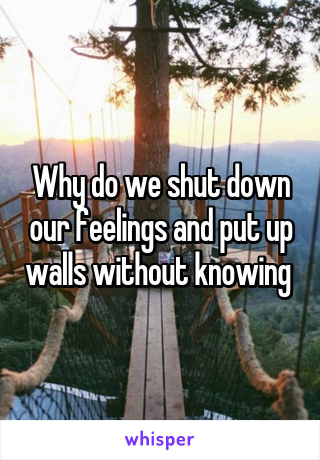  Why do we shut down our feelings and put up walls without knowing 