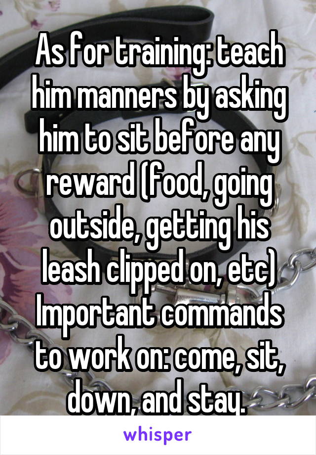 As for training: teach him manners by asking him to sit before any reward (food, going outside, getting his leash clipped on, etc) Important commands to work on: come, sit, down, and stay. 
