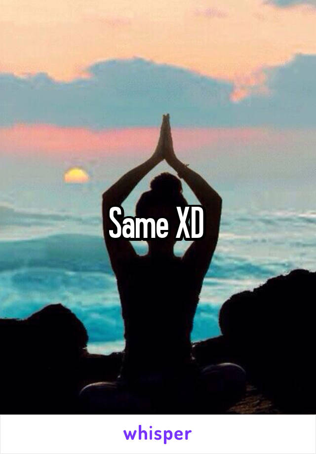 Same XD 