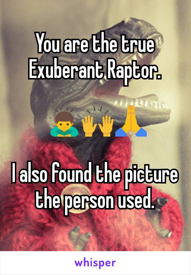You are the true Exuberant Raptor.

 🙇🙌🙏

I also found the picture the person used.