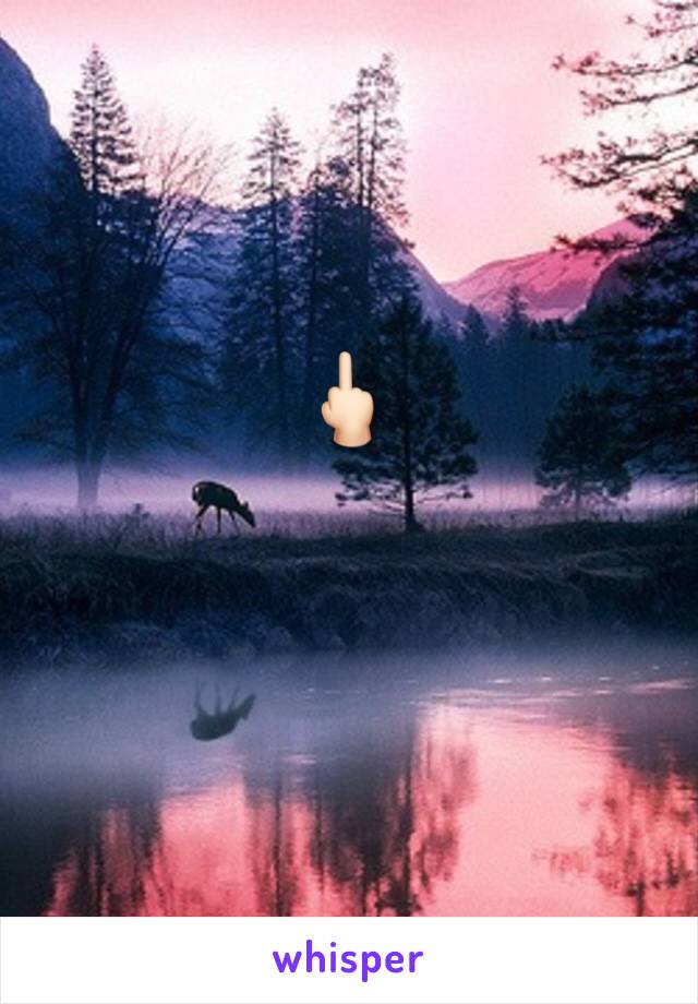 🖕🏻