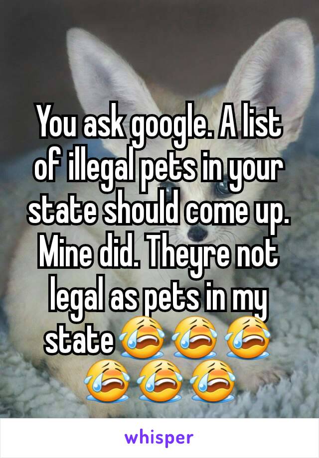 You ask google. A list of illegal pets in your state should come up. Mine did. Theyre not legal as pets in my state😭😭😭😭😭😭