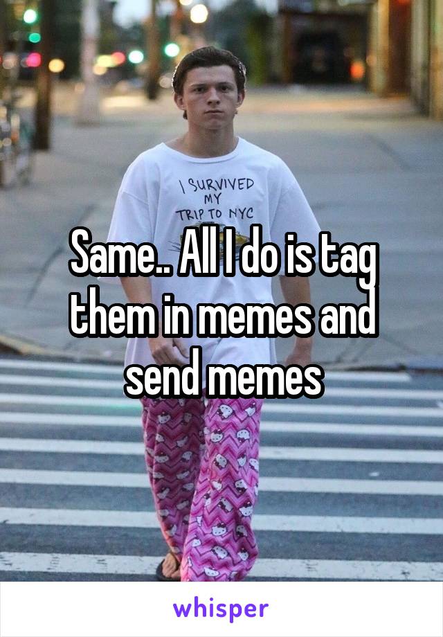 Same.. All I do is tag them in memes and send memes