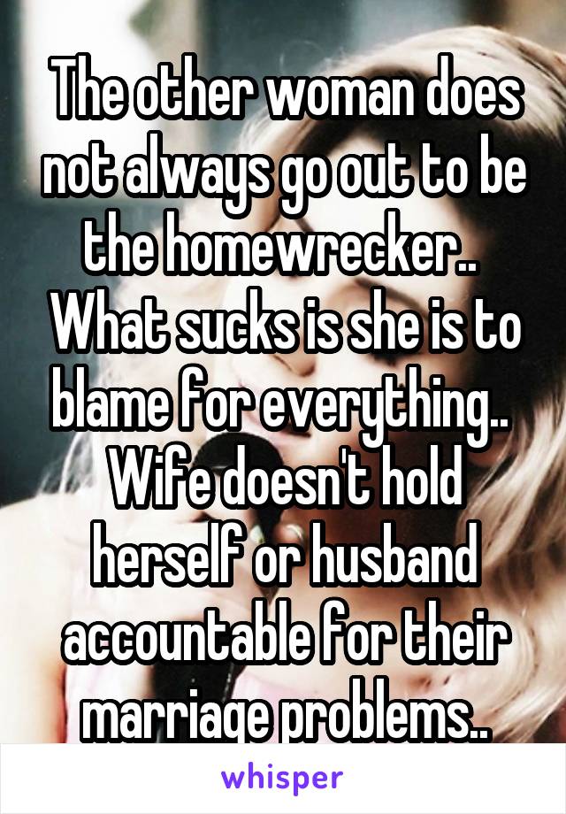 The other woman does not always go out to be the homewrecker..  What sucks is she is to blame for everything..  Wife doesn't hold herself or husband accountable for their marriage problems..