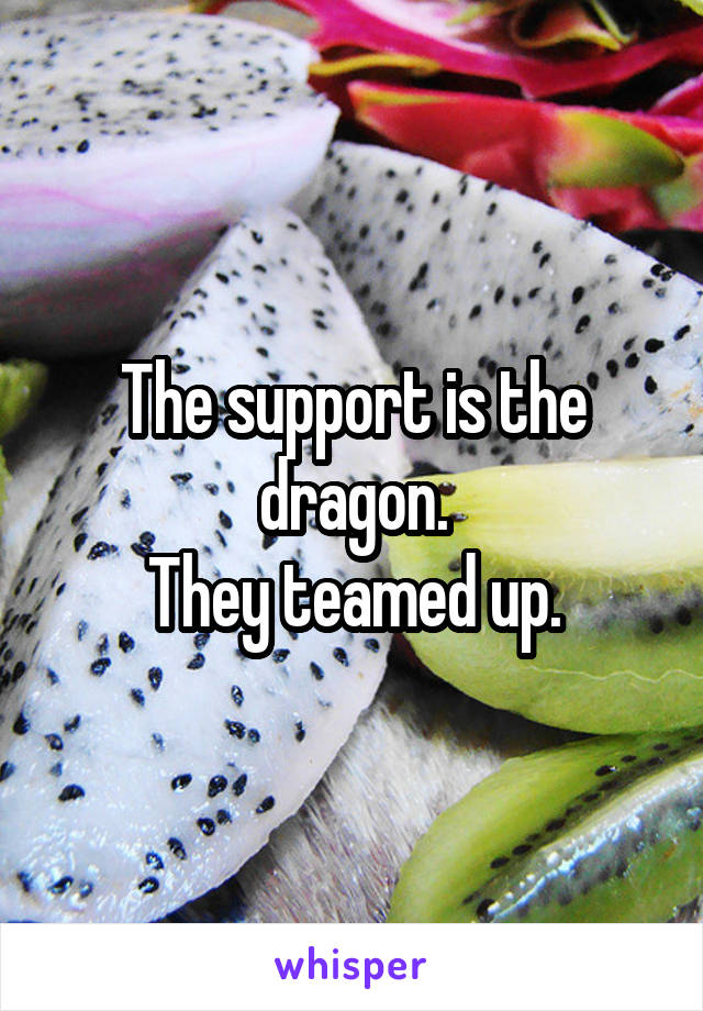 The support is the dragon.
They teamed up.