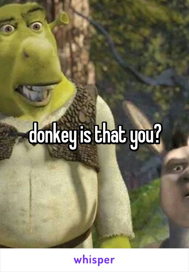 donkey is that you?