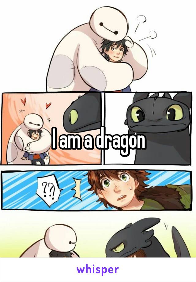 I am a dragon