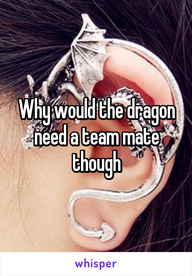 Why would the dragon need a team mate though