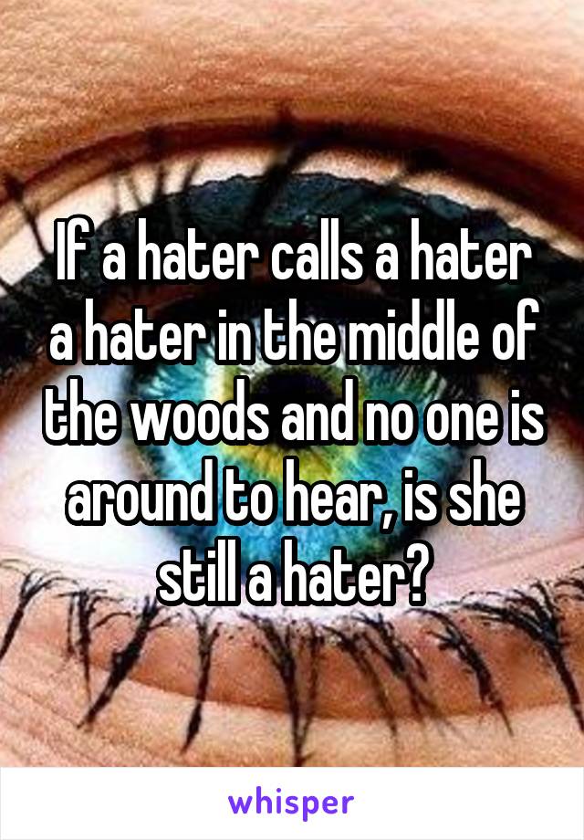 If a hater calls a hater a hater in the middle of the woods and no one is around to hear, is she still a hater?