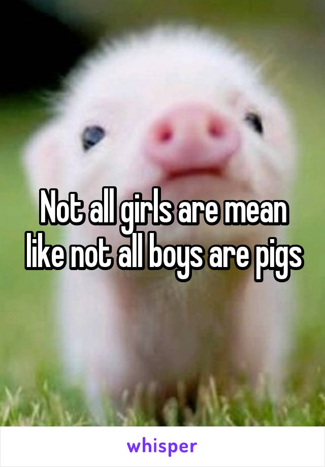 Not all girls are mean like not all boys are pigs