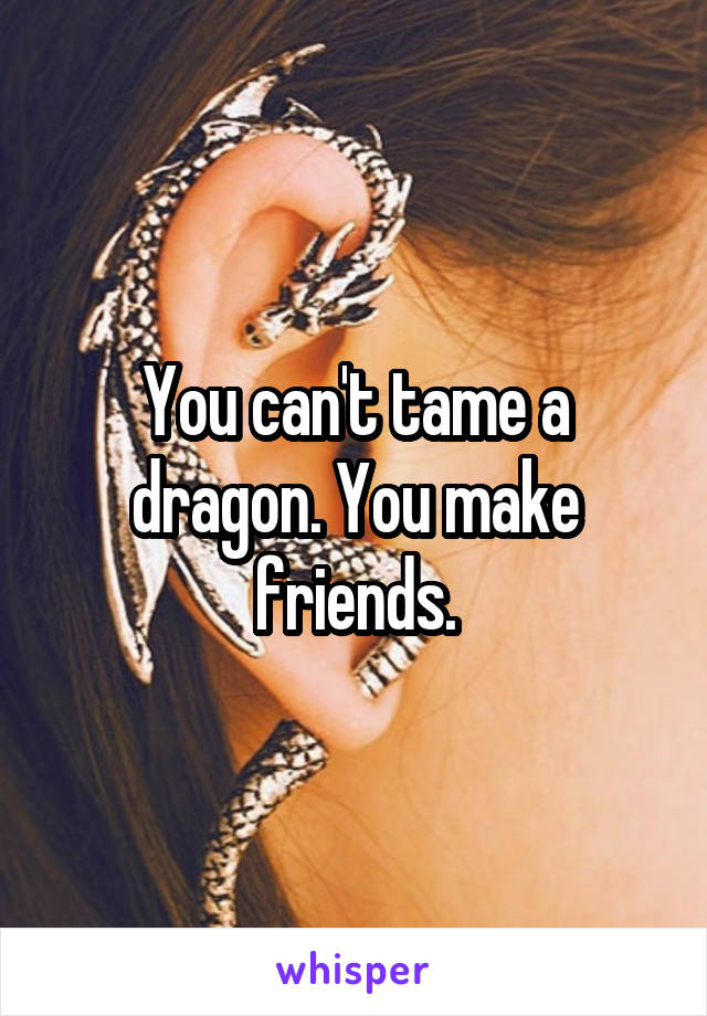 You can't tame a dragon. You make friends.
