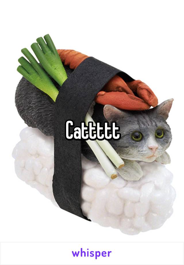 Cattttt