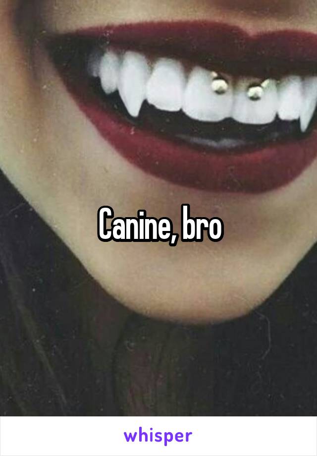 Canine, bro