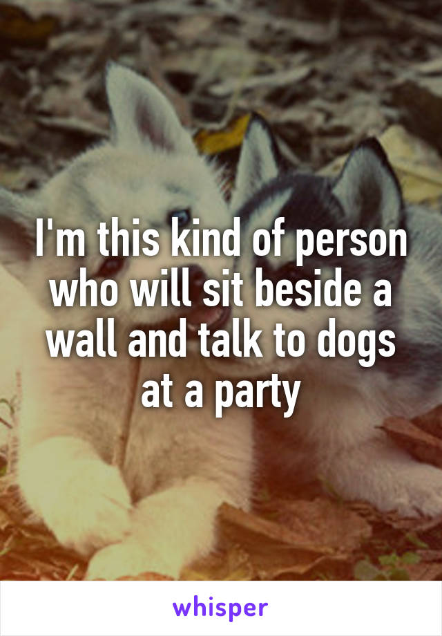 I'm this kind of person who will sit beside a wall and talk to dogs at a party