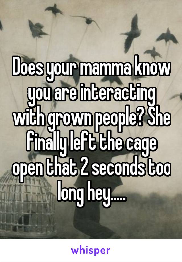 Does your mamma know you are interacting with grown people? She finally left the cage open that 2 seconds too long hey.....