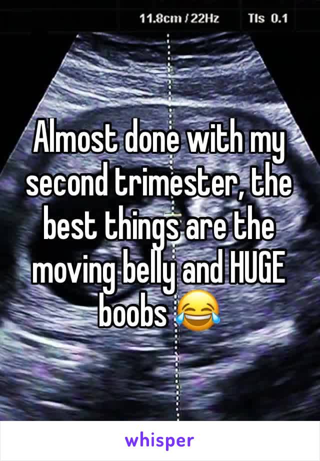 Almost done with my second trimester, the best things are the moving belly and HUGE boobs 😂
