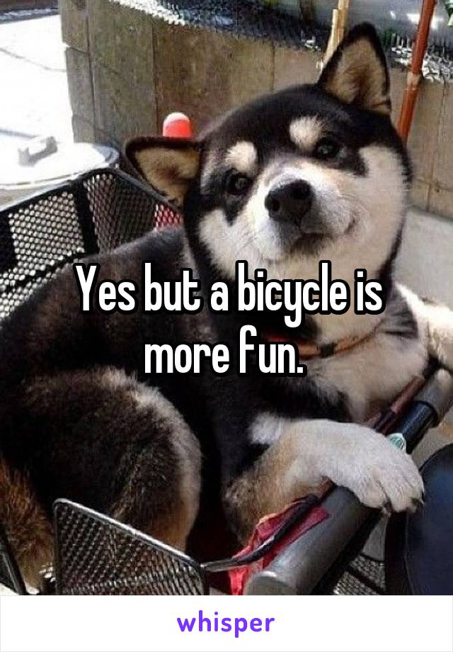 Yes but a bicycle is more fun. 