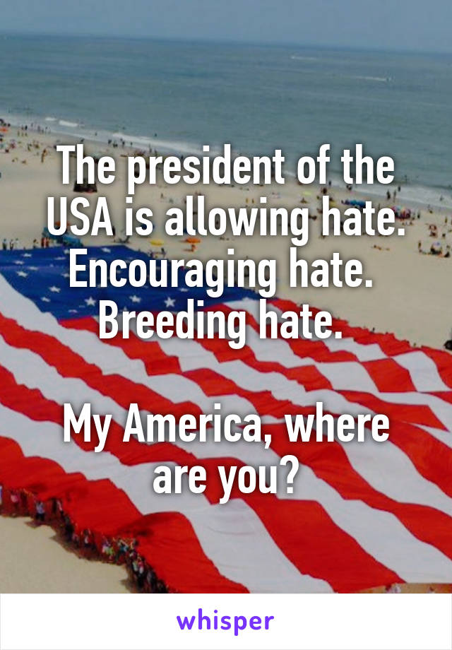 The president of the USA is allowing hate. Encouraging hate. 
Breeding hate. 

My America, where are you?