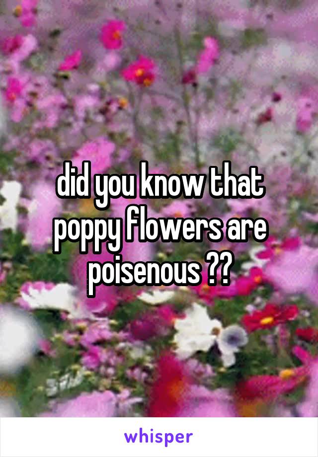 did you know that poppy flowers are poisenous ??