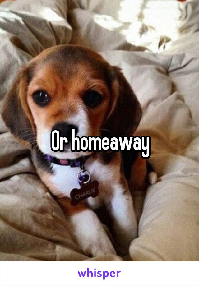 Or homeaway