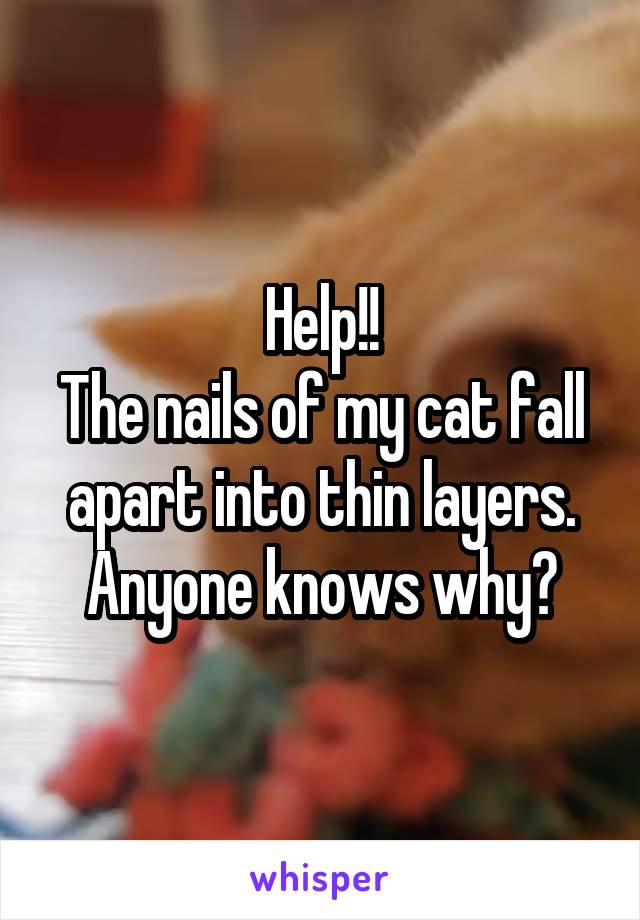 Help!!
The nails of my cat fall apart into thin layers.
Anyone knows why?