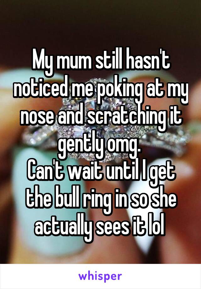 My mum still hasn't noticed me poking at my nose and scratching it gently omg. 
Can't wait until I get the bull ring in so she actually sees it lol 