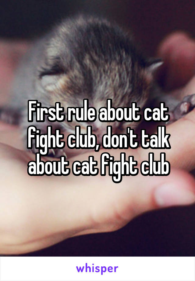 First rule about cat fight club, don't talk about cat fight club