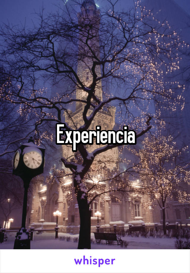 Experiencia