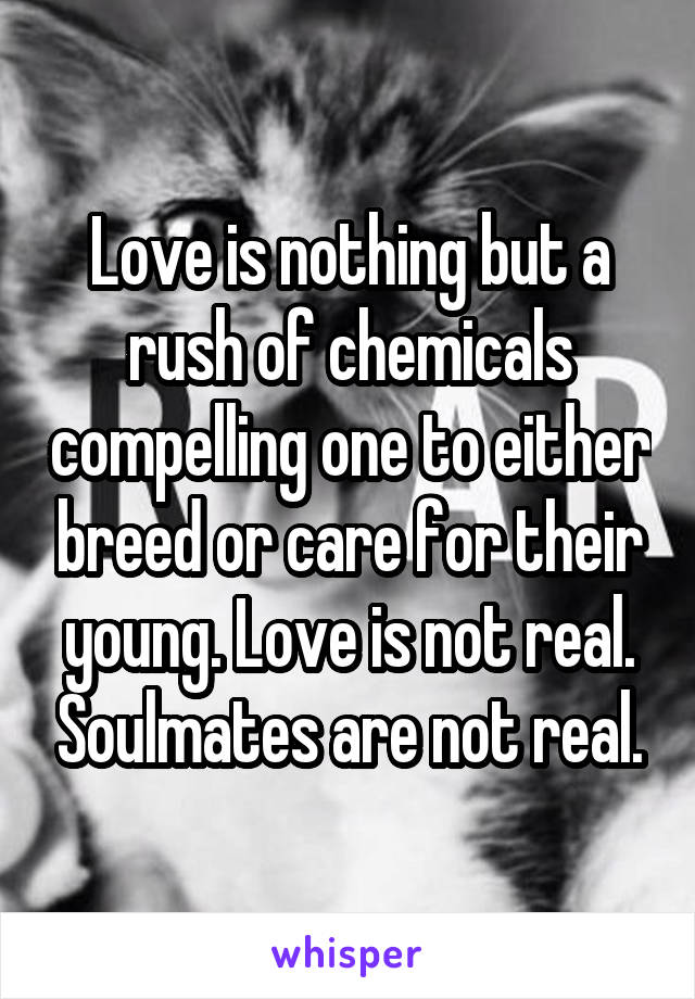 Love is nothing but a rush of chemicals compelling one to either breed or care for their young. Love is not real. Soulmates are not real.