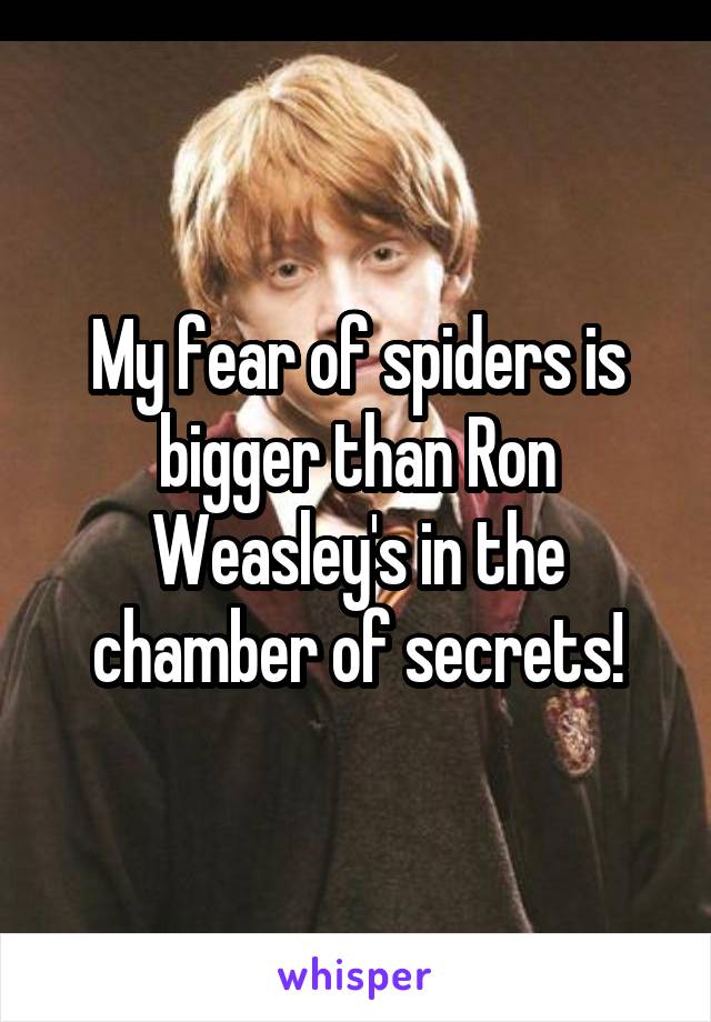 My fear of spiders is bigger than Ron Weasley's in the chamber of secrets!