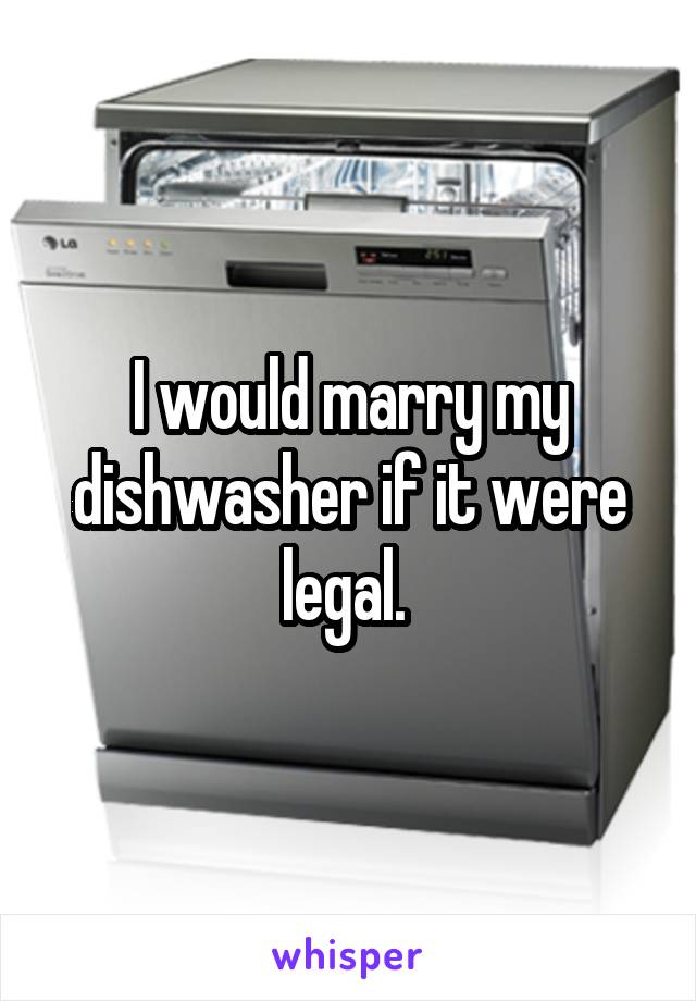 I would marry my dishwasher if it were legal. 