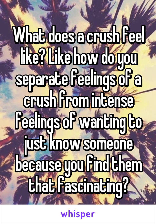 What does a crush feel like? Like how do you separate feelings of a crush from intense feelings of wanting to just know someone because you find them that fascinating?