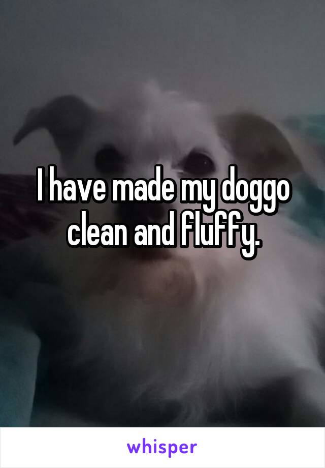 I have made my doggo clean and fluffy.
