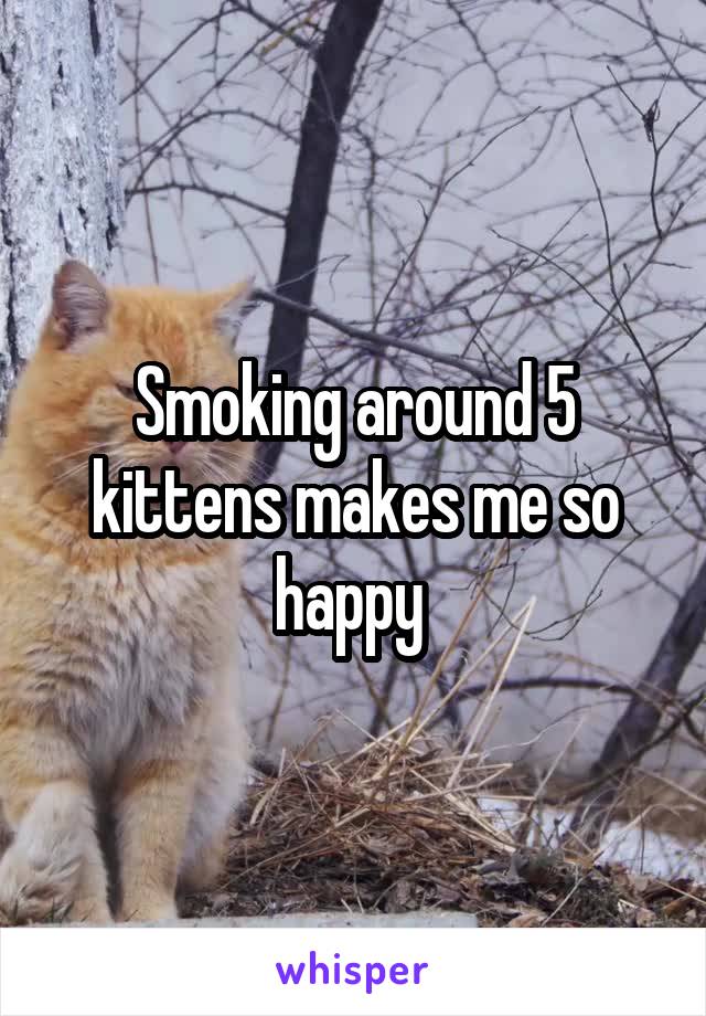 Smoking around 5 kittens makes me so happy 