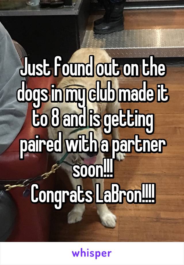 Just found out on the dogs in my club made it to 8 and is getting paired with a partner soon!!!
Congrats LaBron!!!!