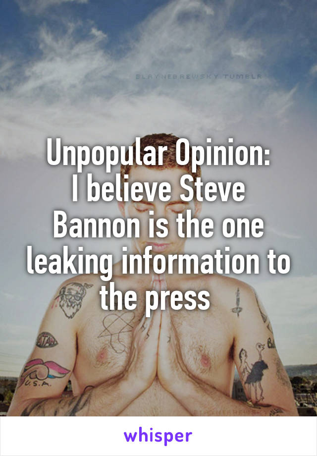 Unpopular Opinion:
I believe Steve Bannon is the one leaking information to the press 