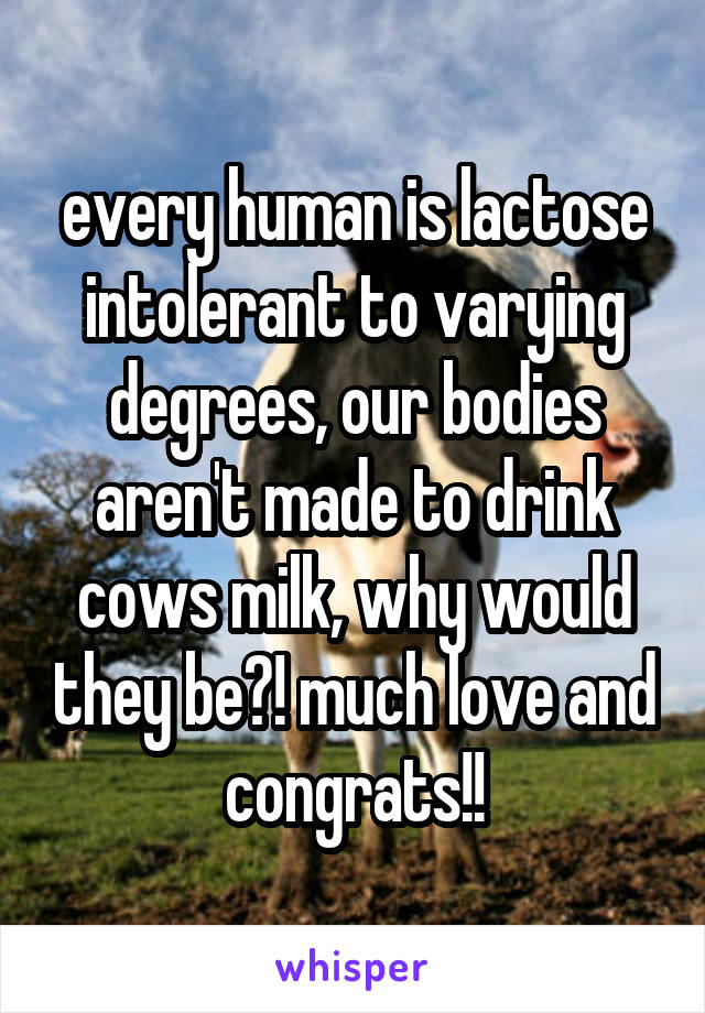 every human is lactose intolerant to varying degrees, our bodies aren't made to drink cows milk, why would they be?! much love and congrats!!