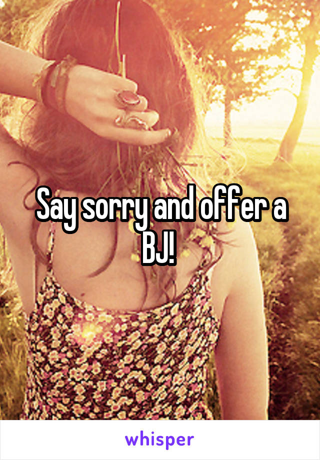 Say sorry and offer a BJ! 