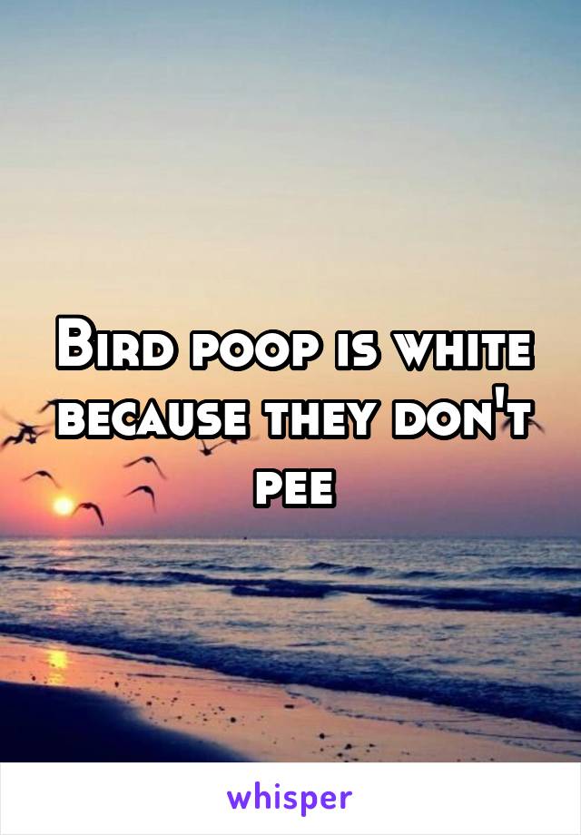 Bird poop is white because they don't pee