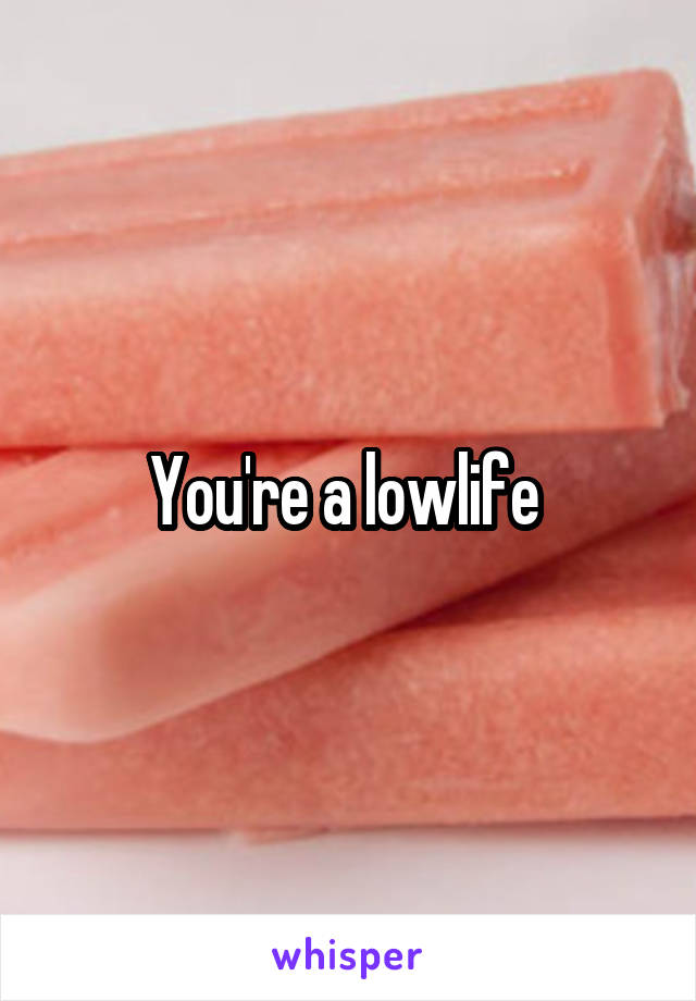 You're a lowlife 