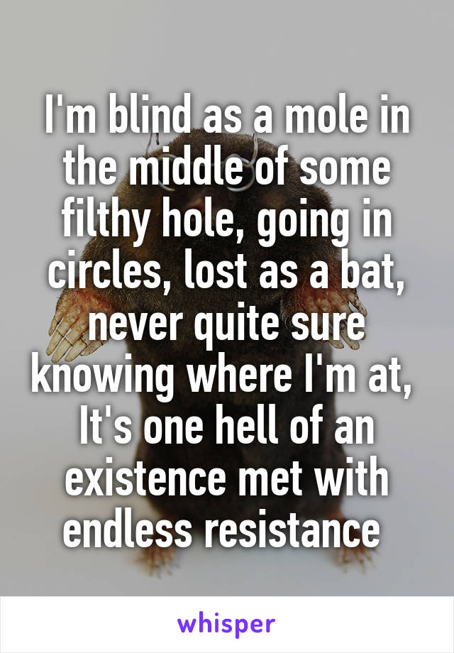 I'm blind as a mole in the middle of some filthy hole, going in circles, lost as a bat, never quite sure knowing where I'm at, 
It's one hell of an existence met with endless resistance 